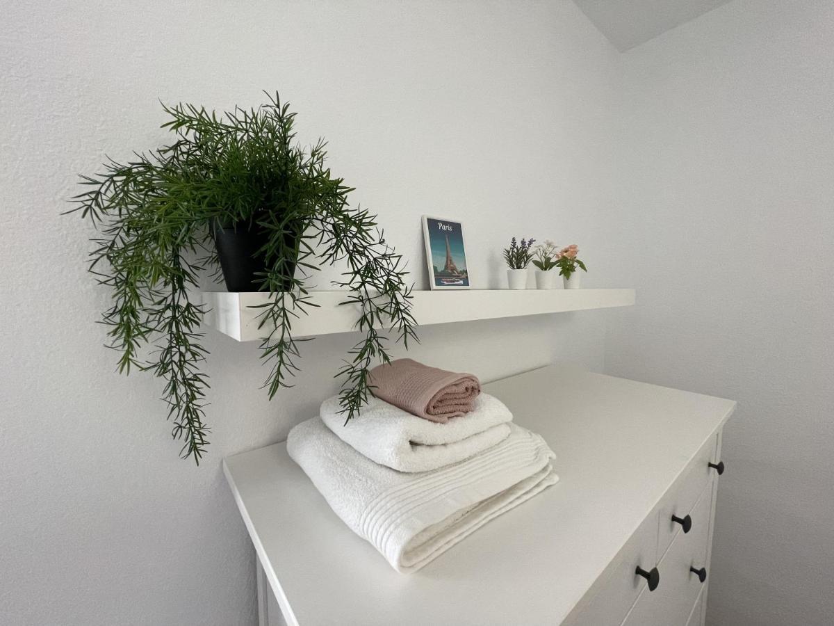 Apartment Beautiful 3 Bd. In La Laguna Centre